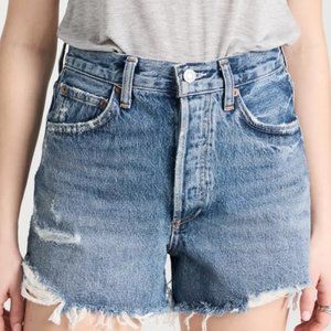 Agolde Dee Vintage High Rise Shorts